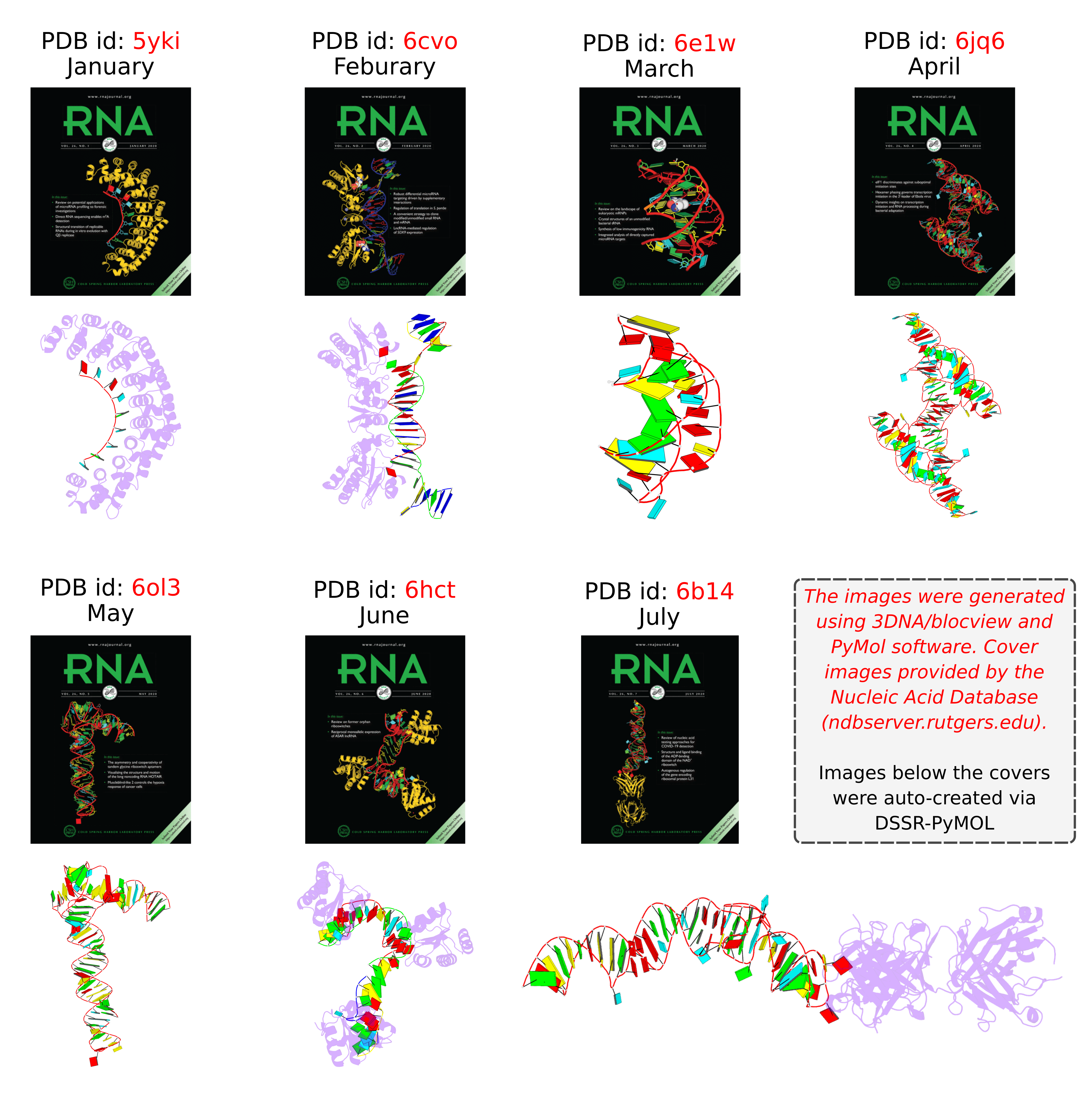 3DNA/blockview-PyMOL and DSSR-PyMOL cartoon-block schematics in the covers of the RNA journal in 2020